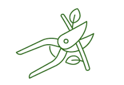 Pruning & Trimming